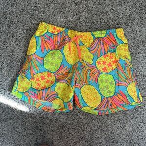 Chubbies Swim Trunk